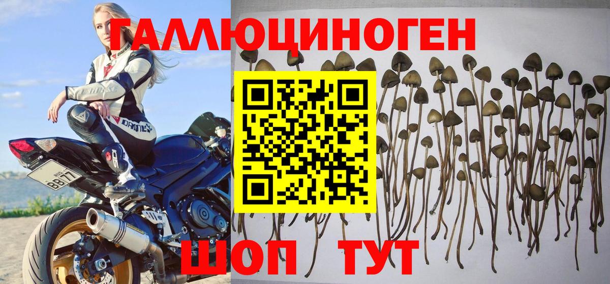 Галлюциногенные грибы мицелий  Вход с VPN  Кизляр 